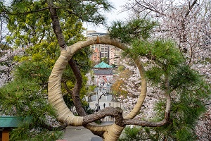 公園めぐり