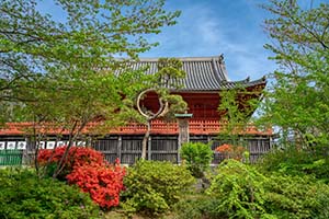 寛永寺清水観音堂