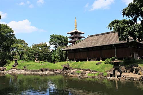 Edolearn senso ji 1