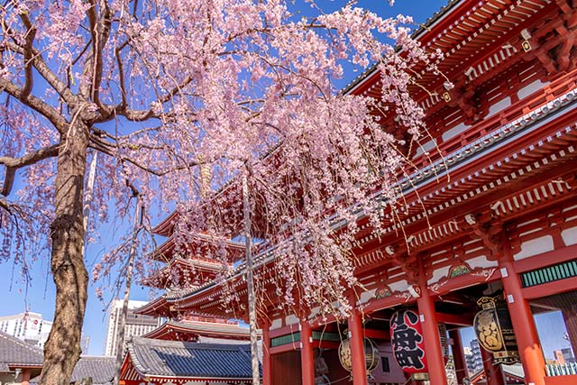 浅草寺