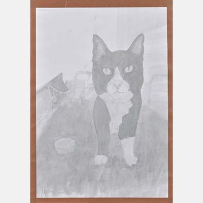 猫
