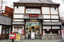 浅草花やしきに遊ぶ 浅草花やしきに遊ぶ