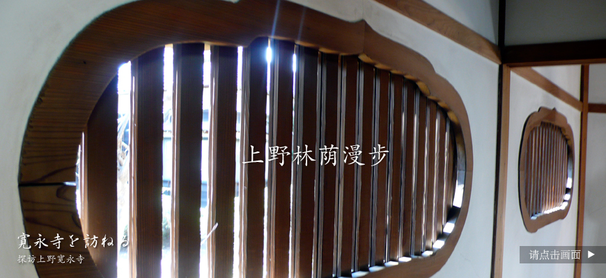 上野林荫漫步
