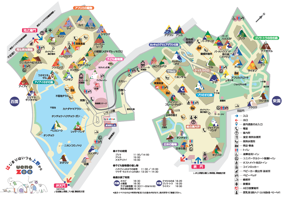 上野動物園に遊ぶ 上野動物園に遊ぶ