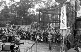 在上野動物園遊玩