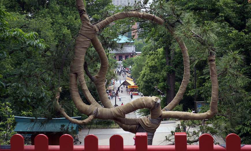 台東文化ガイドブック 清水観音堂の月の松