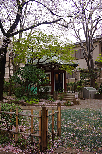 與台東區有淵源的巨匠們岡倉天心